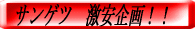 �T���Q�c������� 