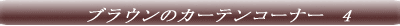 �T���Q�c�@�J�[�e���R�[�i�[�@1 