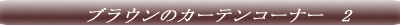 �T���Q�c�@�J�[�e���R�[�i�[�@1 