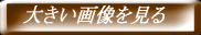 �傫���摜������ 