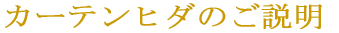 �J�[�e���q�_�̂����� 
