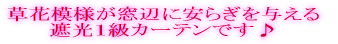 ���n�����_�炩���f�U�C���������� �l�C�̎Ռ��P���J�[�e���ł���