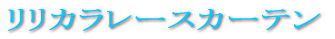 �������[�X�J�[�e�� 