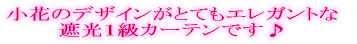 n_炩fUC lC̎ՌPJ[eł