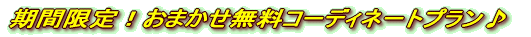 ���܂����R�[�f�B�l�[�g�v���� 