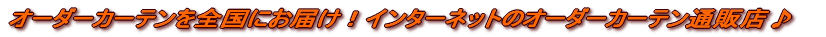 �I�[�_�[�J�[�e����S���ɂ��͂��I�C���^�[�l�b�g�̃I�[�_�[�J�[�e���ʔ̓X