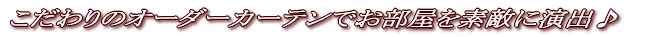 �������̃I�[�_�[�J�[�e���ł�������f�G�ɉ��o��