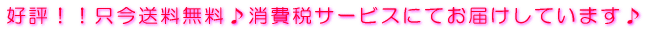 �D�]�I�I�����������������ŃT�[�r�X�ɂĂ��͂����Ă��܂��� 