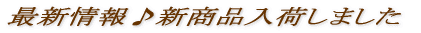 �ŐV�����V���i���ׂ��܂��� 