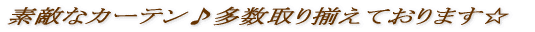 �f�G�ȃJ�[�e��������葵���Ă���܂�