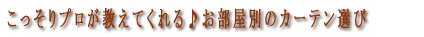 ���肰�Ȃ��������჌�[�X�J�[�e���@���ڃA�C�e����
