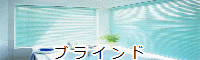 �u���C���h