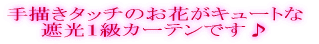 n_炩fUC lC̎ՌPJ[eł