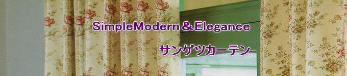 SimpleModernElegance  TQcJ[e