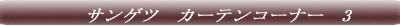 �T���Q�c�@�J�[�e���R�[�i�[�@1 