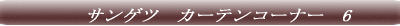 �T���Q�c�@�J�[�e���R�[�i�[�@1 