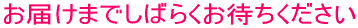 ���͂��܂ł��΂炭���҂���������