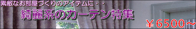  �Y��n�J�[�e�� 