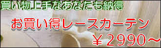  �����������[�X�J�[�e�� 