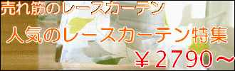  �l�C�̃��[�X�J�[�e�� 