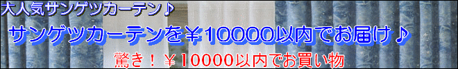  �����I�T���Q�c�J�[�e�� 