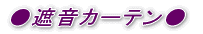 �Չ��J�[�e�� 