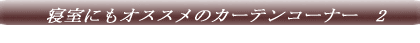 �T���Q�c�@�J�[�e���R�[�i�[�@1 