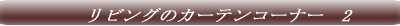 �T���Q�c�@�J�[�e���R�[�i�[�@1 