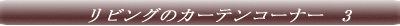 �T���Q�c�@�J�[�e���R�[�i�[�@1 