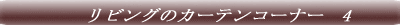 �T���Q�c�@�J�[�e���R�[�i�[�@1 
