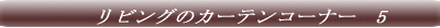 �T���Q�c�@�J�[�e���R�[�i�[�@1 