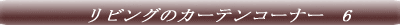 �T���Q�c�@�J�[�e���R�[�i�[�@1 