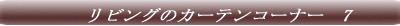 �T���Q�c�@�J�[�e���R�[�i�[�@1 