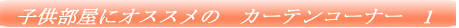 �q�������ɃI�X�X���́@�J�[�e���R�[�i�[�@1 