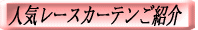 �l�C���[�X�J�[�e�����Љ� 